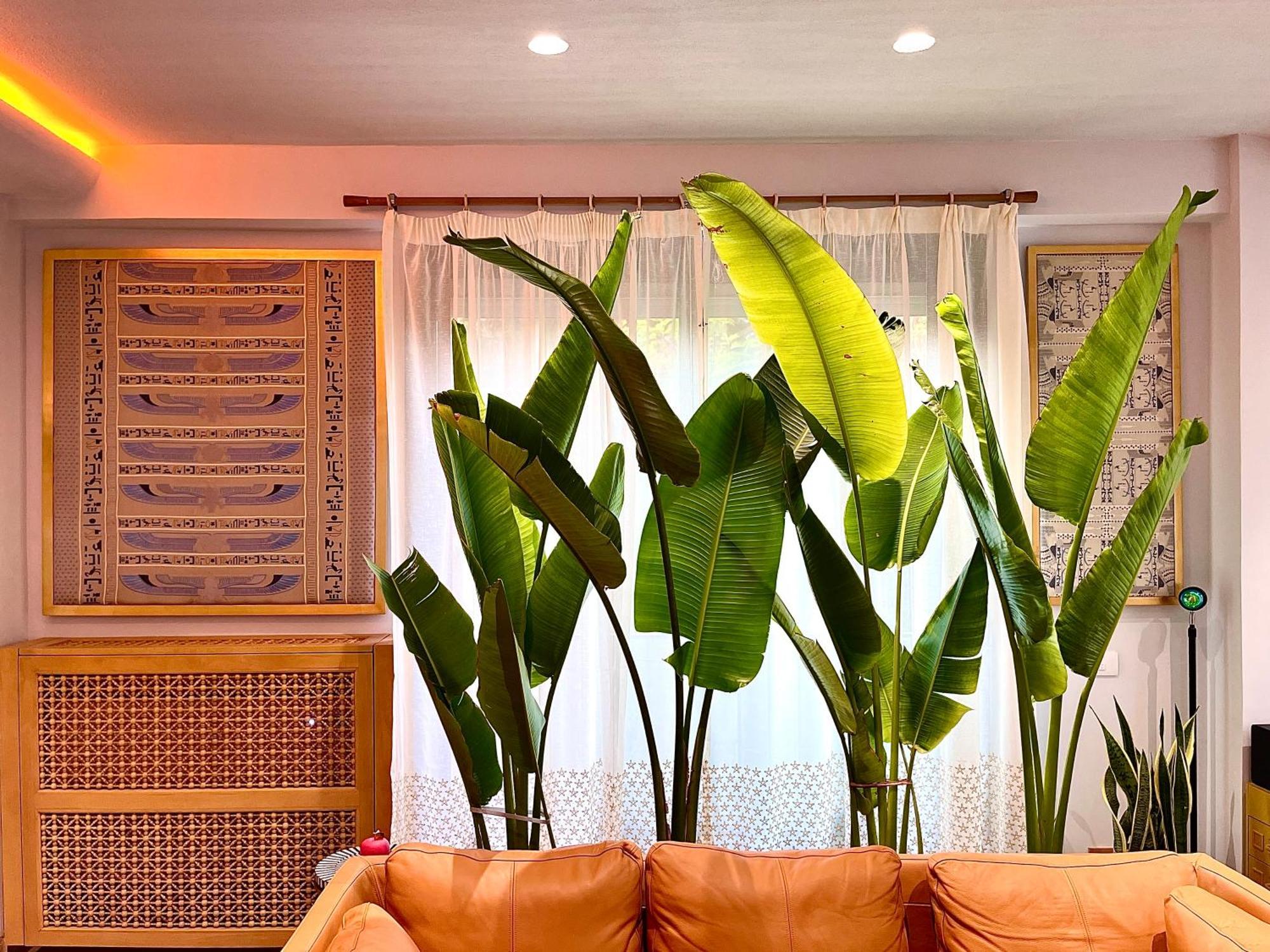 Apartment Aaru Maadi Luxe Retreat *